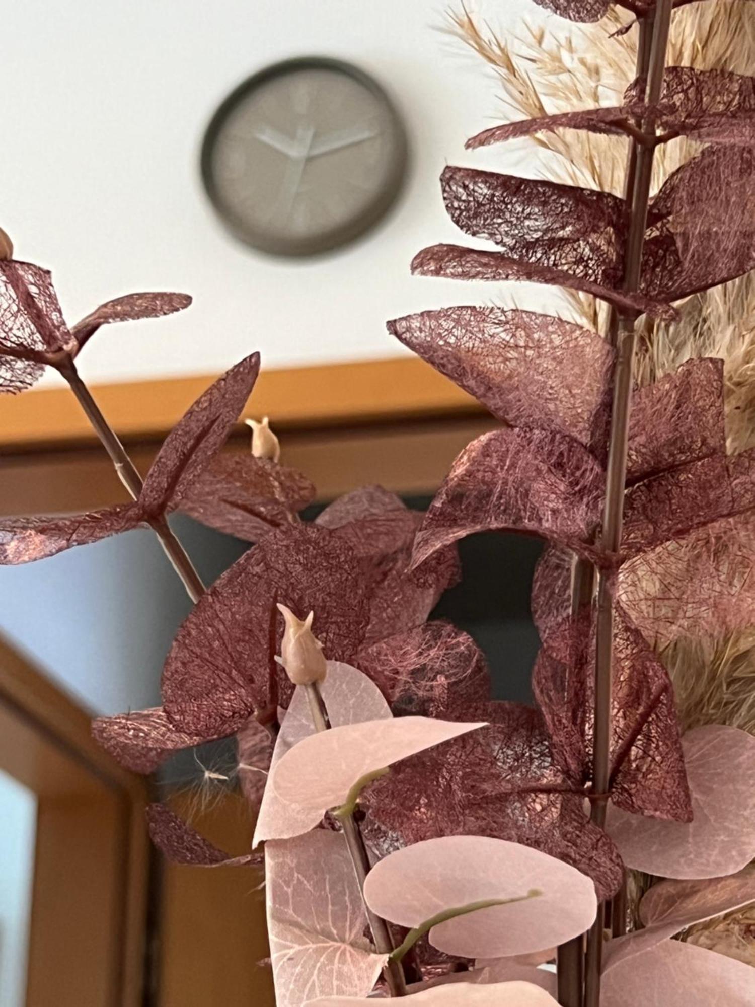 Auszeit Im Pott - Ferienwohnung Lavendel 헤르텐 외부 사진