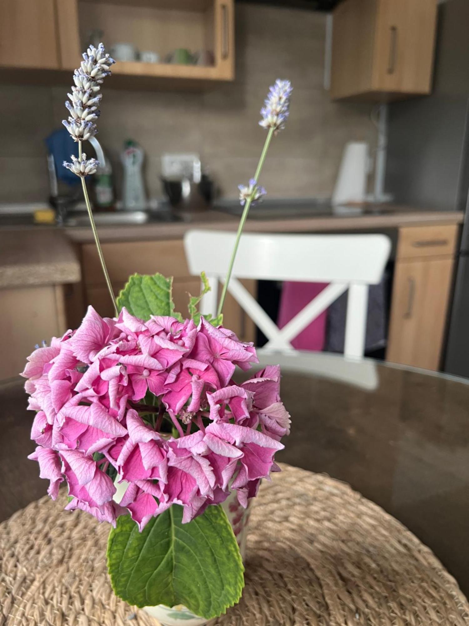 Auszeit Im Pott - Ferienwohnung Lavendel 헤르텐 외부 사진
