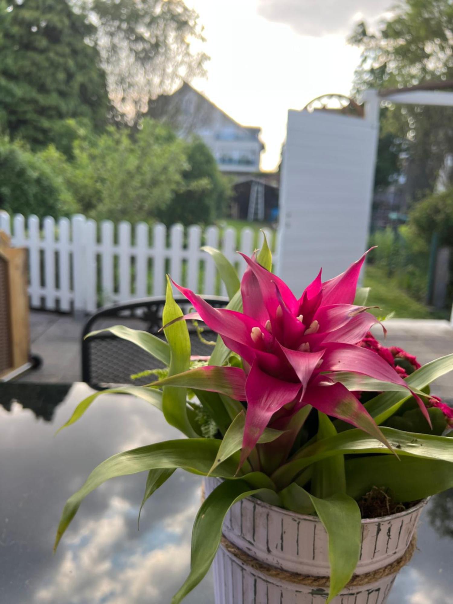 Auszeit Im Pott - Ferienwohnung Lavendel 헤르텐 외부 사진